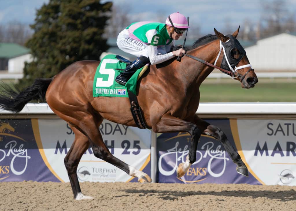 Idiomatic earns Grade 2 victory in the Delaware Handicap Racing