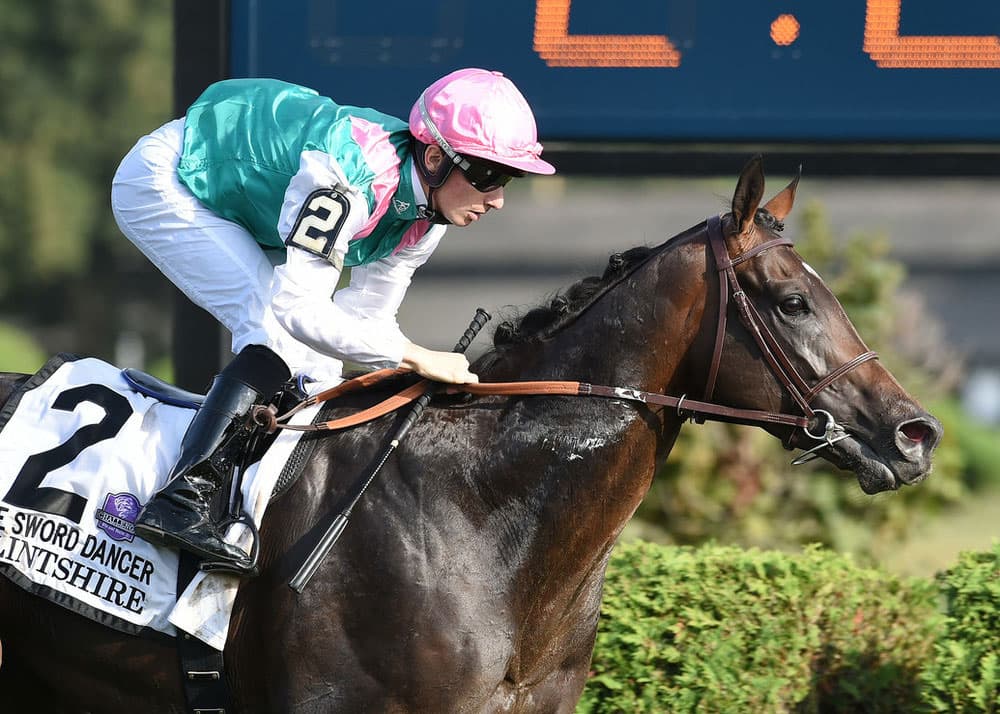 Flintshire-Racehorse