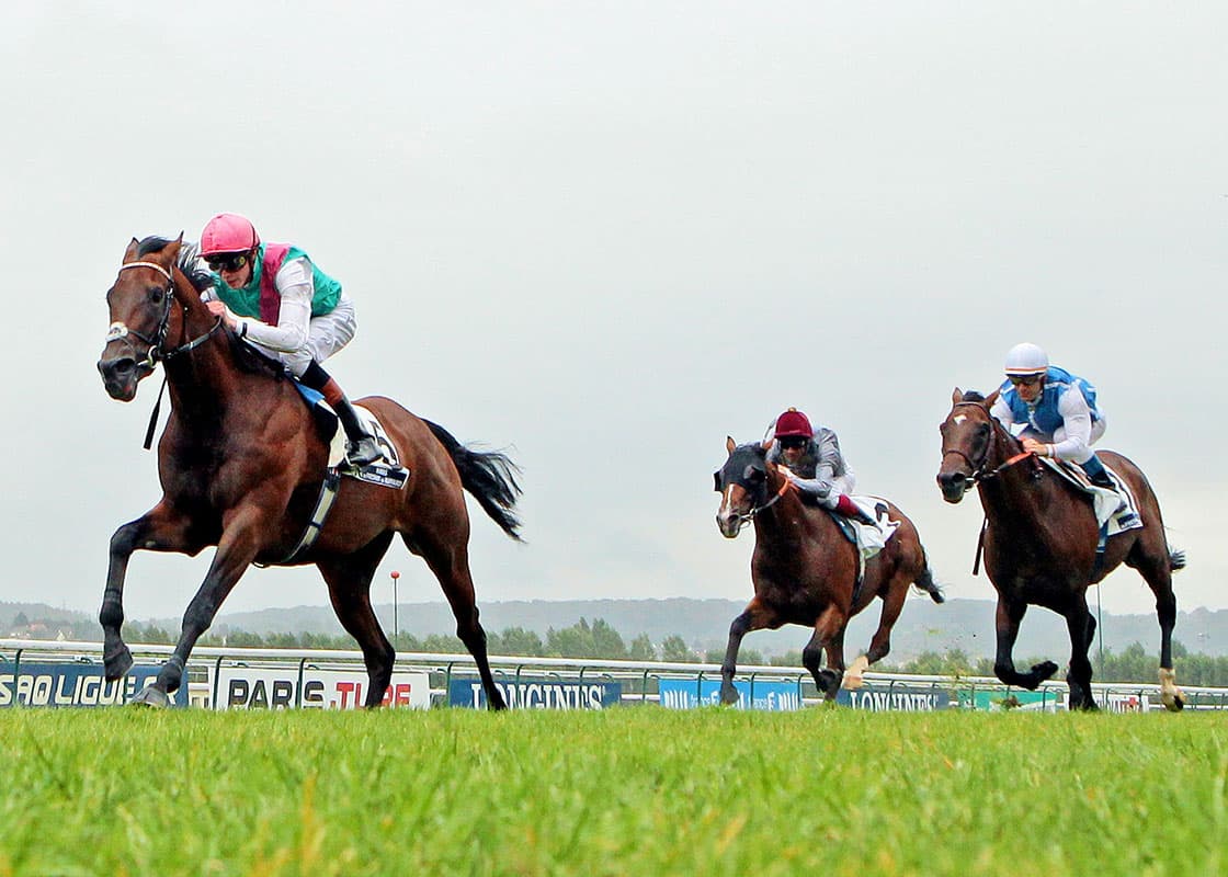 Kingman-Racehorse