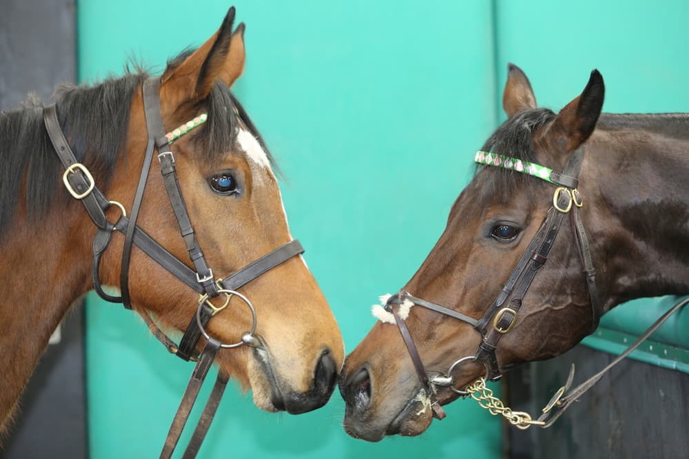 Enable and Kingman