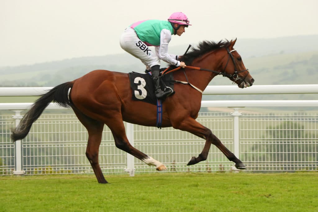 Flag Flying awarded TDN Rising Star status - Racing