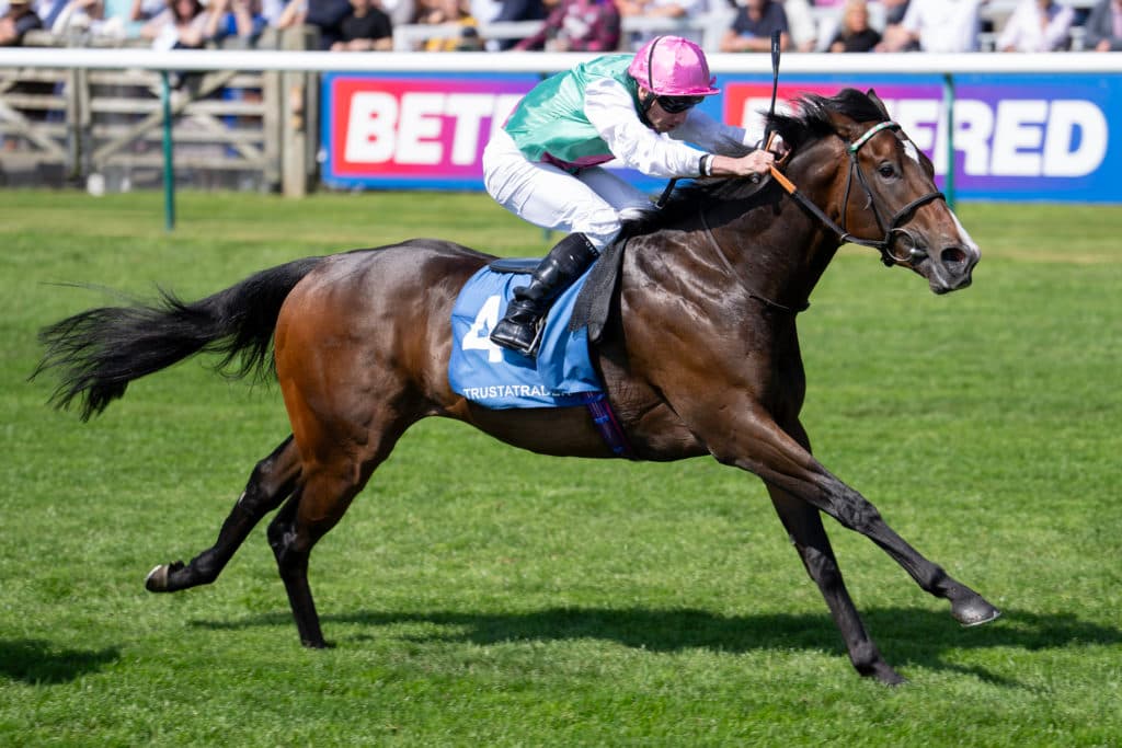 Newmarket 2.5.25