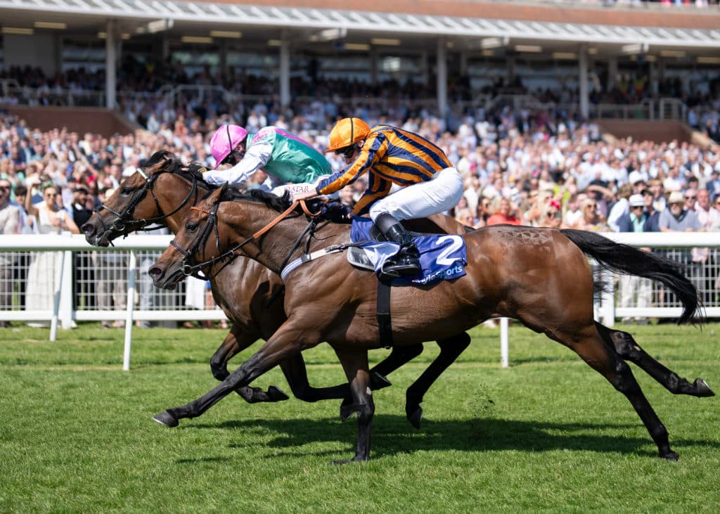 Newbury 17.5.25