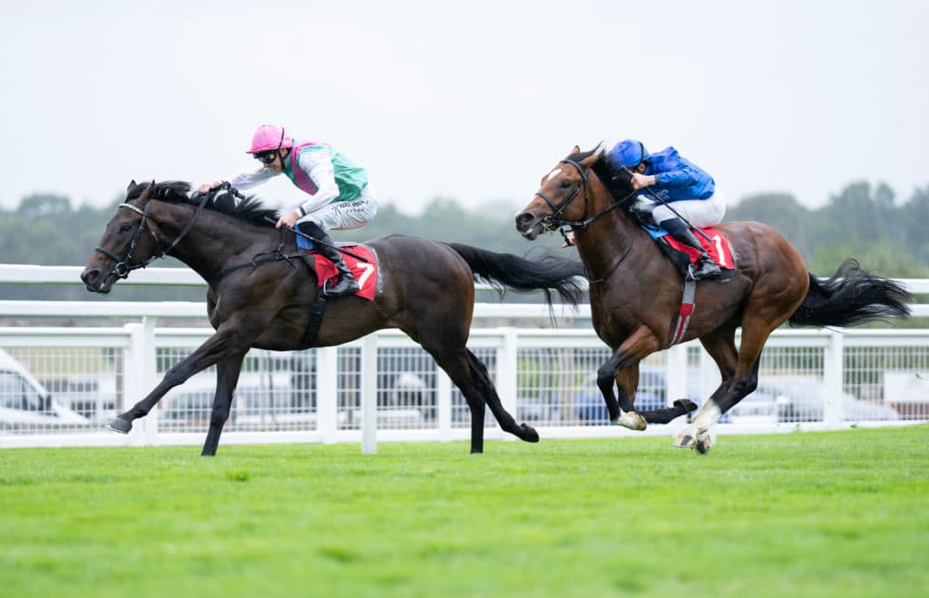 Publish, Sandown 24.7.25