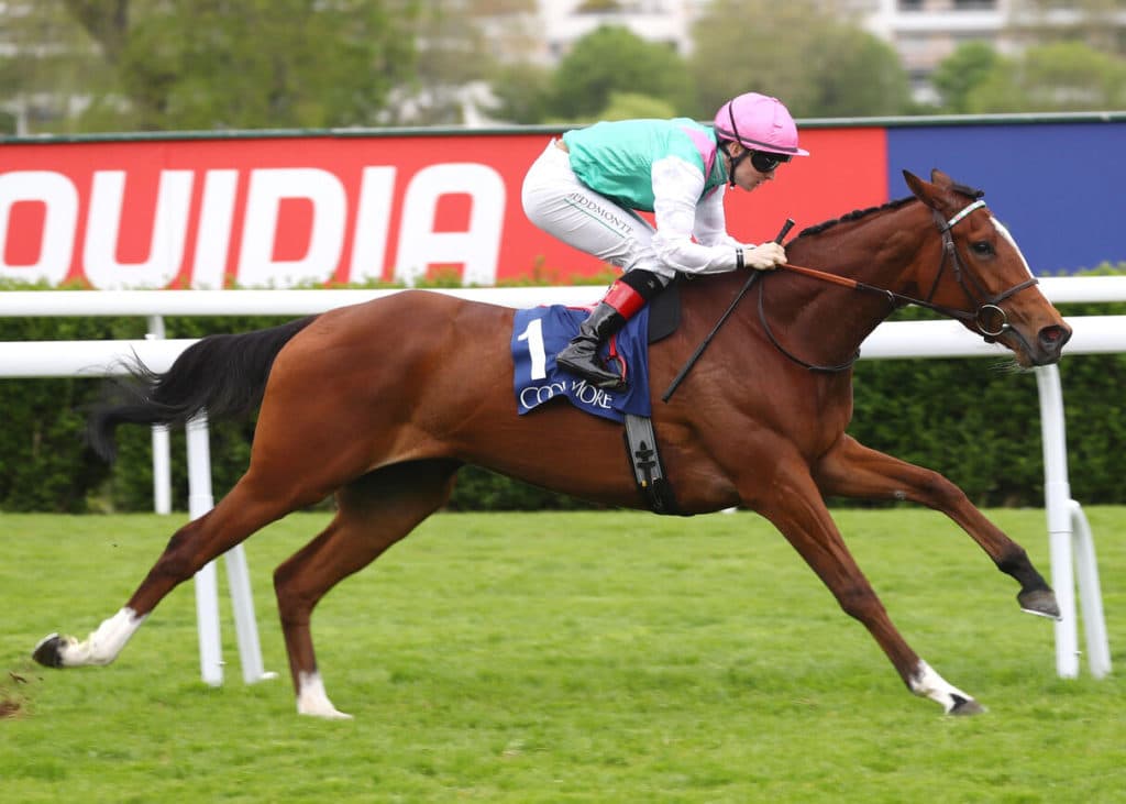 R4C4 HENRI MATISSE COOLMORE PRIX CLEOPATRE SAINT CLOUD