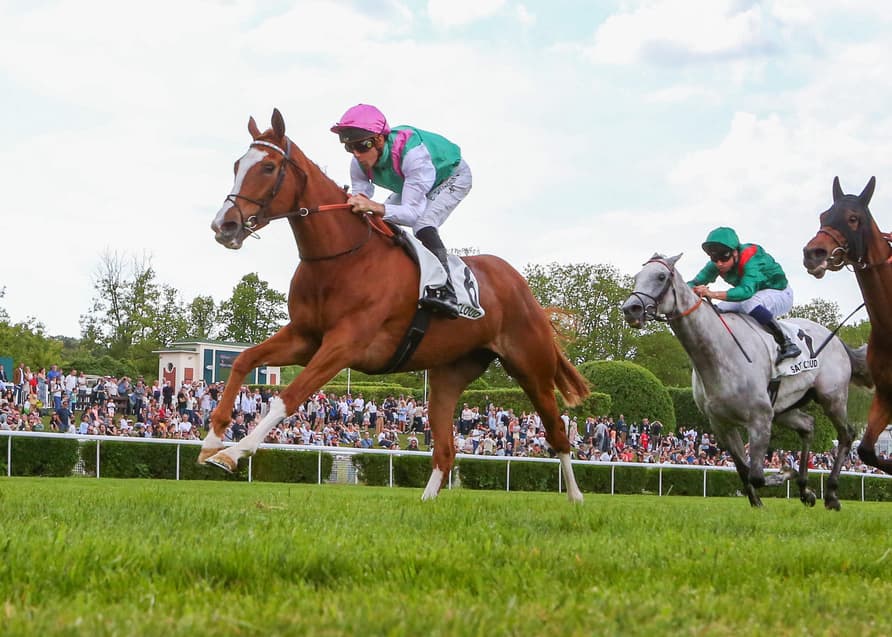 R1C6 PRIX ALLEZ FRANCE SAINT CLOUD