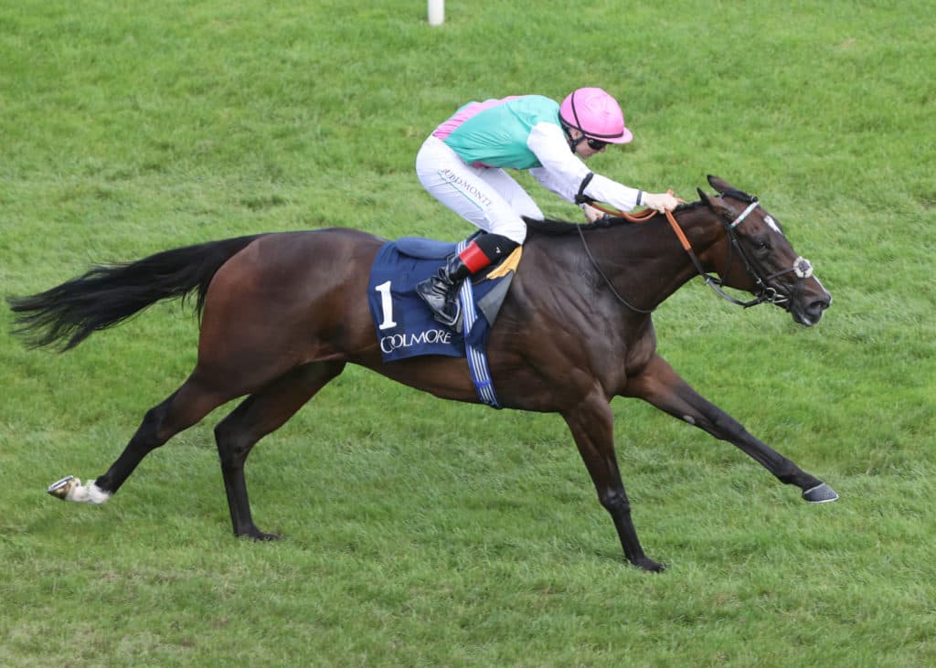 LEOPARDSTOWN