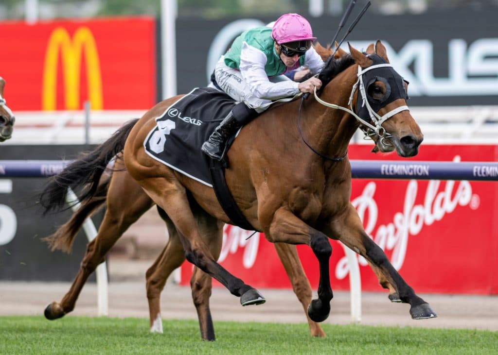 Victoria Derby Day at Flemington Racecourse.