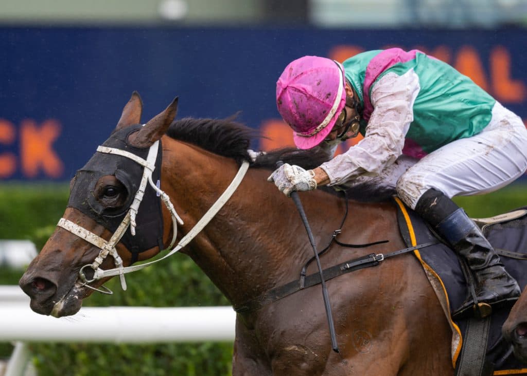 2023 The Championships Day 1, Royal Randwick Racecourse
