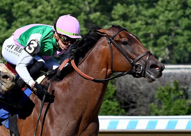 Accede-Bed-oRoses-Coglianese-Photos_crop