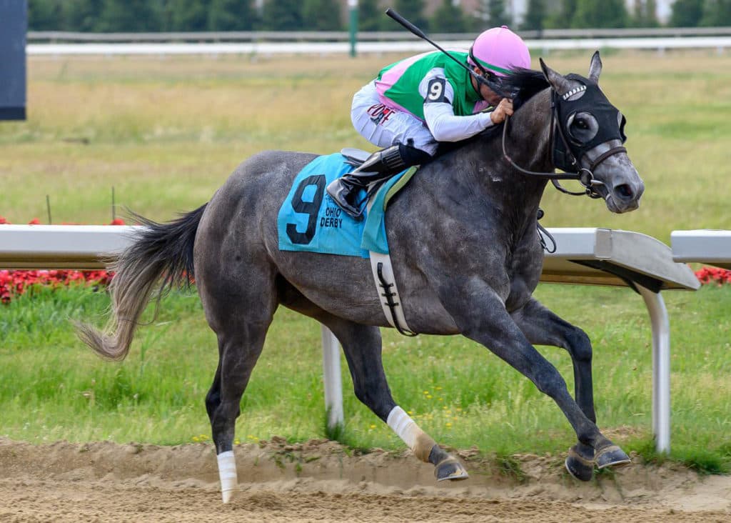 Batten Down © Jeffrey Zamaiko