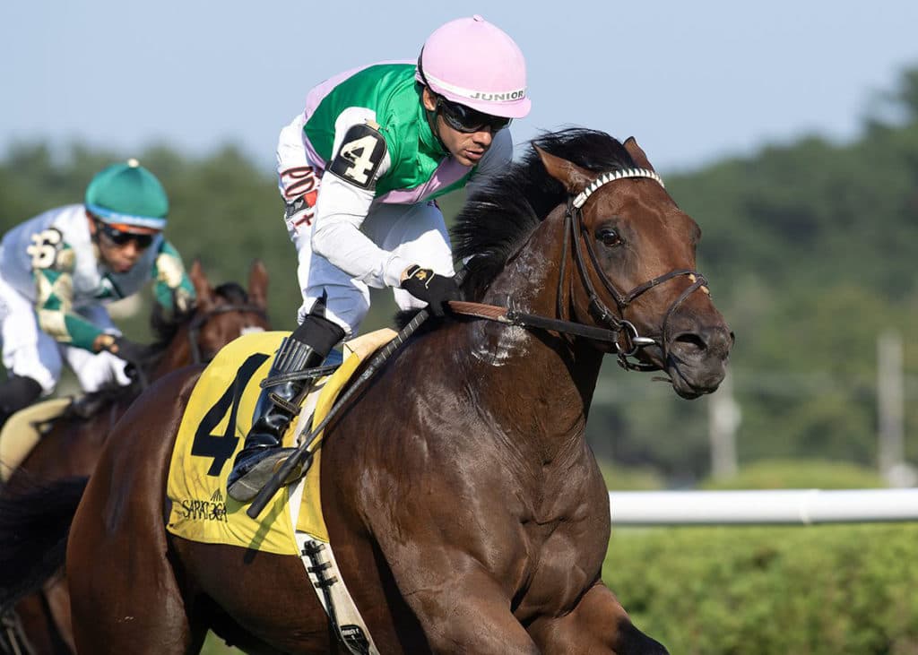 Spiced Up-Mahony Stakes-Sarah Andrew