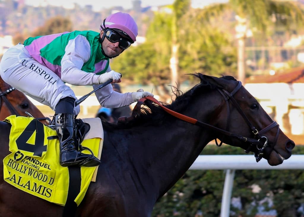 Horse Racing 2025: Hollywood Derby Day NOV 29