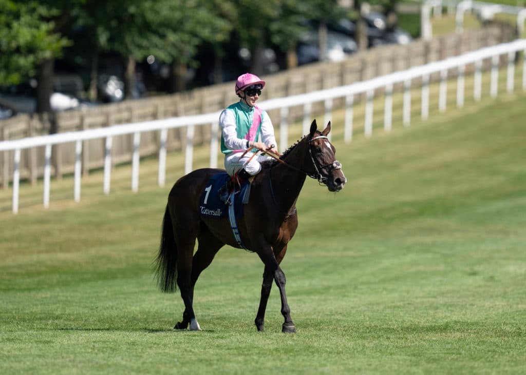 Newmarket 10.7.26