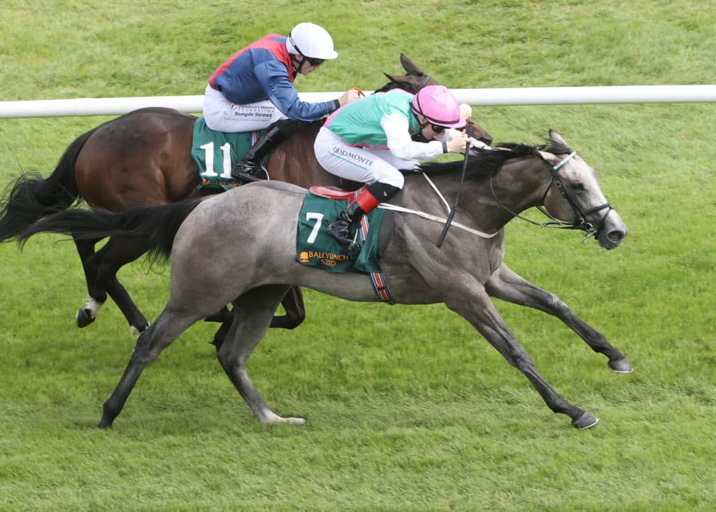 LEOPARDSTOWN
