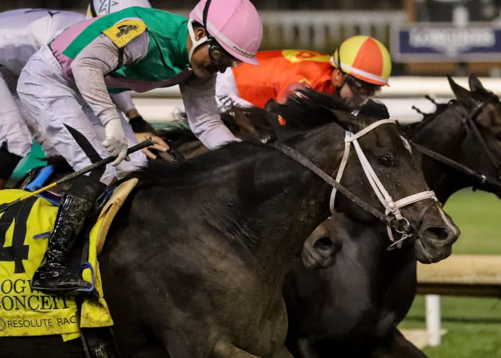 Horse Racing 2026: Dogwood Stakes Day Churchill Downs SEP 19