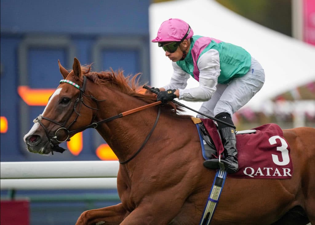 R1C8 QATAR PRIX DANIEL WILDENSTEIN PARIS-LONGCHAMP
